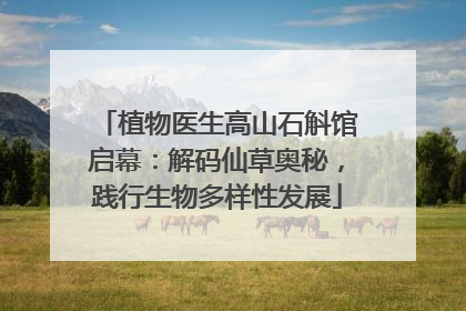 植物医生高山石斛馆启幕：解码仙草奥秘，践行生物多样性发展