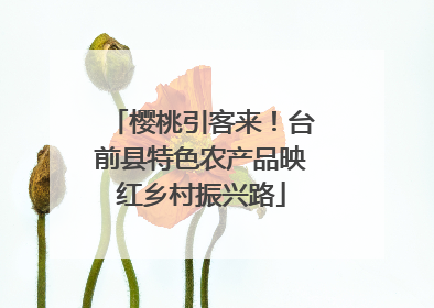 樱桃引客来！台前县特色农产品映红乡村振兴路