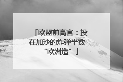 欧盟前高官：投在加沙的炸弹半数“欧洲造”