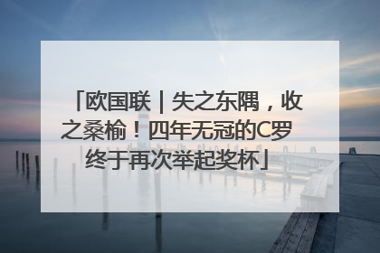 欧国联｜失之东隅，收之桑榆！四年无冠的C罗终于再次举起奖杯