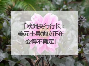 欧洲央行行长：美元主导地位正在变得不确定