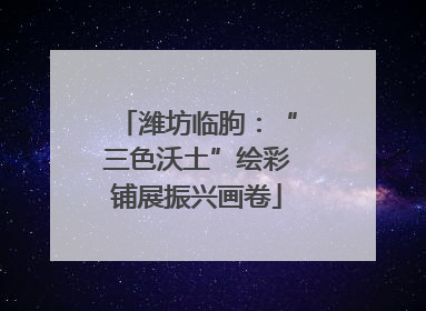 潍坊临朐：“三色沃土”绘彩铺展振兴画卷