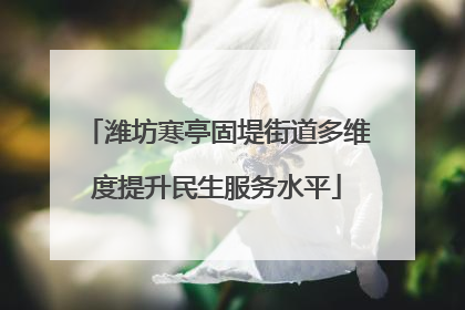 潍坊寒亭固堤街道多维度提升民生服务水平