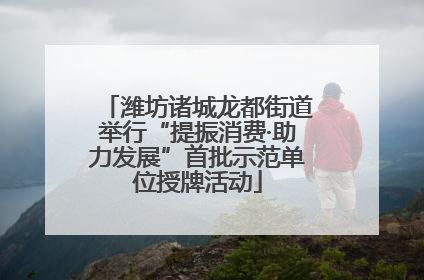 潍坊诸城龙都街道举行“提振消费·助力发展”首批示范单位授牌活动