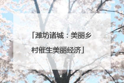 潍坊诸城：美丽乡村催生美丽经济