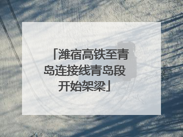 潍宿高铁至青岛连接线青岛段开始架梁
