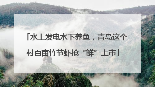 水上发电水下养鱼，青岛这个村百亩竹节虾抢“鲜”上市