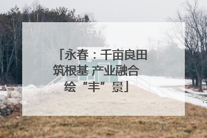 永春：千亩良田筑根基 产业融合绘“丰”景