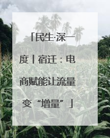 民生·深一度丨宿迁：电商赋能让流量变“增量”