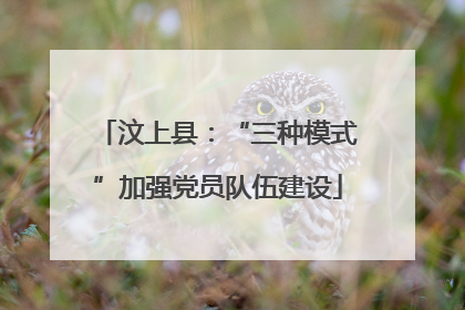 汶上县：“三种模式”加强党员队伍建设