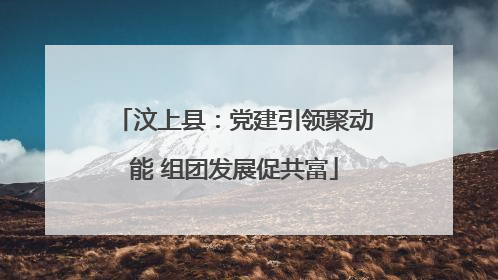 汶上县：党建引领聚动能 组团发展促共富