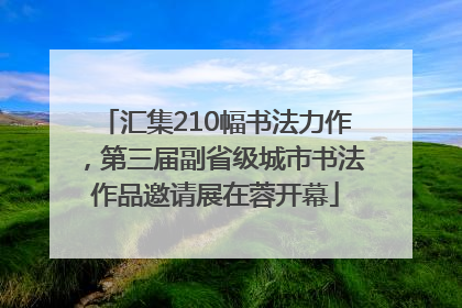 汇集210幅书法力作，第三届副省级城市书法作品邀请展在蓉开幕