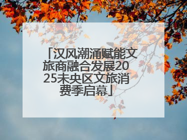 汉风潮涌赋能文旅商融合发展2025未央区文旅消费季启幕