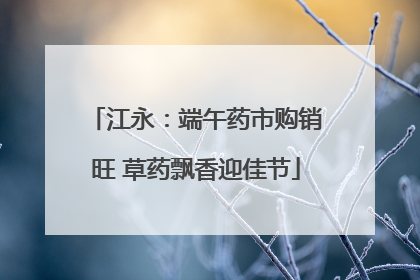 江永：端午药市购销旺 草药飘香迎佳节