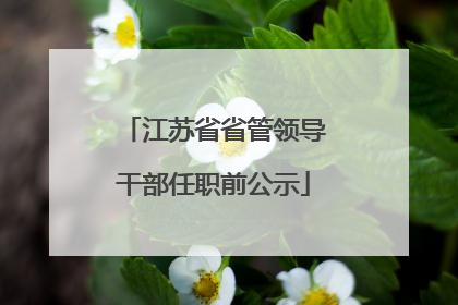 江苏省省管领导干部任职前公示