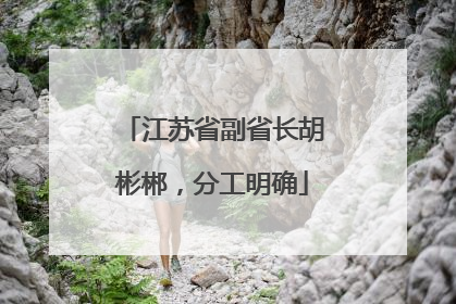 江苏省副省长胡彬郴，分工明确