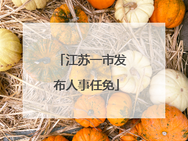 江苏一市发布人事任免