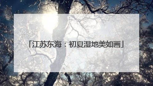 江苏东海：初夏湿地美如画