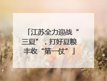江苏全力迎战“三夏”，打好夏粮丰收“第一仗”