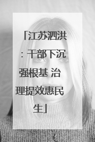 江苏泗洪：干部下沉强根基 治理提效惠民生