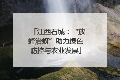江西石城：“放蜂治蚜”助力绿色防控与农业发展