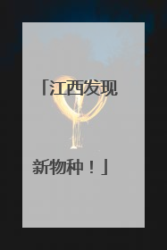 江西发现新物种！