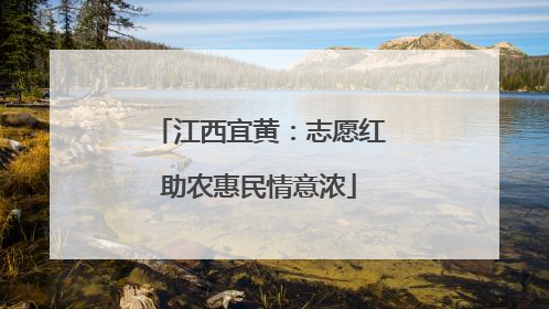 江西宜黄：志愿红助农惠民情意浓