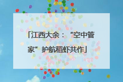 江西大余：“空中管家”护航稻虾共作