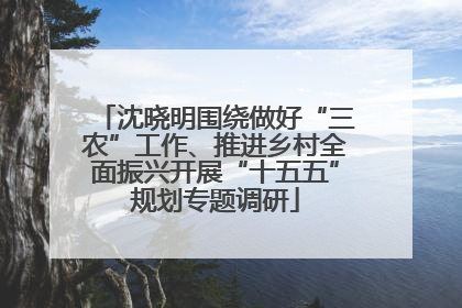 沈晓明围绕做好“三农”工作、推进乡村全面振兴开展“十五五”规划专题调研
