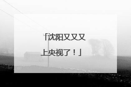 沈阳又又又上央视了！