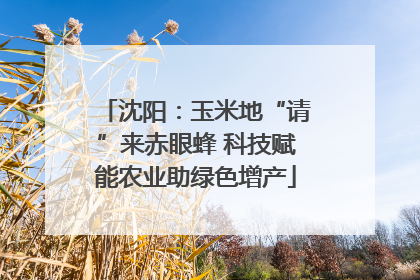 沈阳：玉米地“请”来赤眼蜂 科技赋能农业助绿色增产