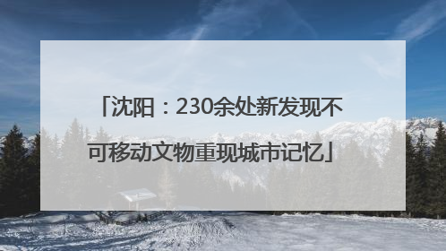 沈阳：230余处新发现不可移动文物重现城市记忆