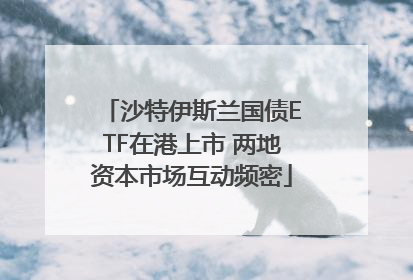 沙特伊斯兰国债ETF在港上市 两地资本市场互动频密