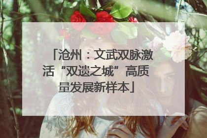 沧州：文武双脉激活“双遗之城”高质量发展新样本