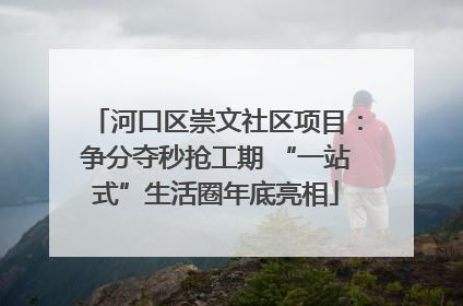 河口区崇文社区项目：争分夺秒抢工期 “一站式”生活圈年底亮相