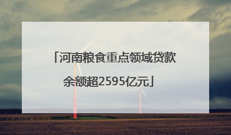 河南粮食重点领域贷款余额超2595亿元