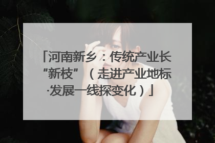 河南新乡：传统产业长“新枝”（走进产业地标·发展一线探变化）