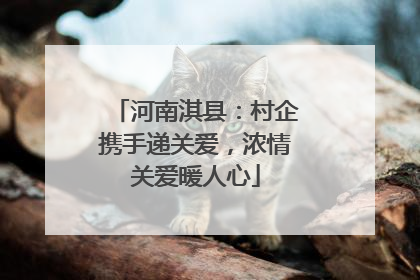 河南淇县：村企携手递关爱，浓情关爱暖人心