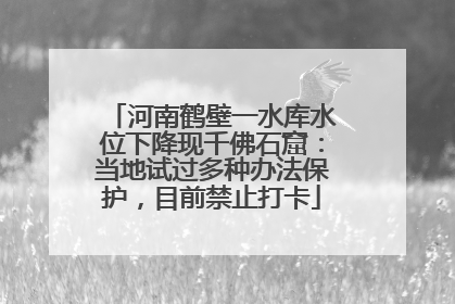 河南鹤壁一水库水位下降现千佛石窟：当地试过多种办法保护，目前禁止打卡