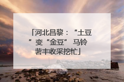 河北昌黎：“土豆”变“金豆” 马铃薯丰收采挖忙