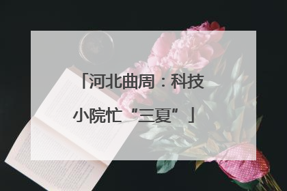 河北曲周：科技小院忙“三夏”