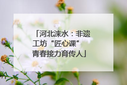 河北涞水：非遗工坊“匠心课” 青春接力育传人