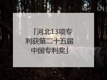 河北13项专利获第二十五届中国专利奖