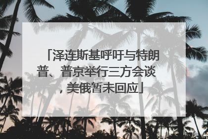 泽连斯基呼吁与特朗普、普京举行三方会谈，美俄暂未回应