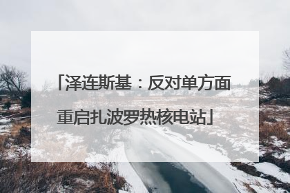 泽连斯基：反对单方面重启扎波罗热核电站
