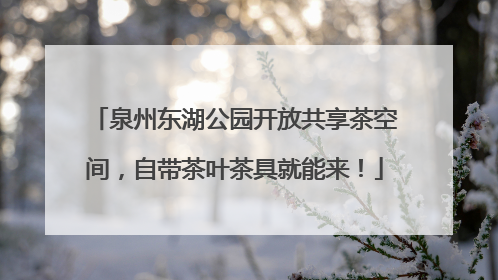 泉州东湖公园开放共享茶空间，自带茶叶茶具就能来！