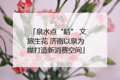 泉水点“睛” 文旅生花 济南以泉为媒打造新消费空间