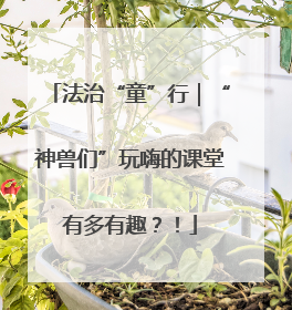 法治“童”行｜“神兽们”玩嗨的课堂有多有趣？！