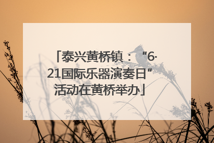 泰兴黄桥镇：“6·21国际乐器演奏日”活动在黄桥举办