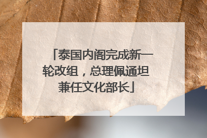 泰国内阁完成新一轮改组，总理佩通坦兼任文化部长